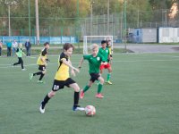IMG_4253